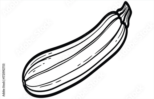 Vector art of a simple black and white line art illustration of a fresh zucchini, showcasing its elongated shape and subtle curves, for easy use in designs