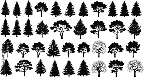 Tree silhouettes vector collection, forest illustration set, nature landscape design, conifer and deciduous trees, black white botanical artwork background