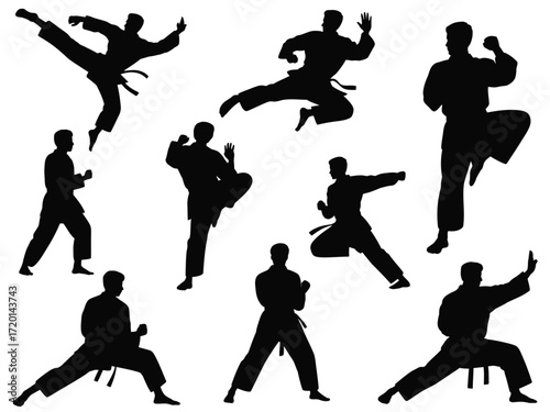 Dynamic karate poses collection featuring martial arts action silhouette