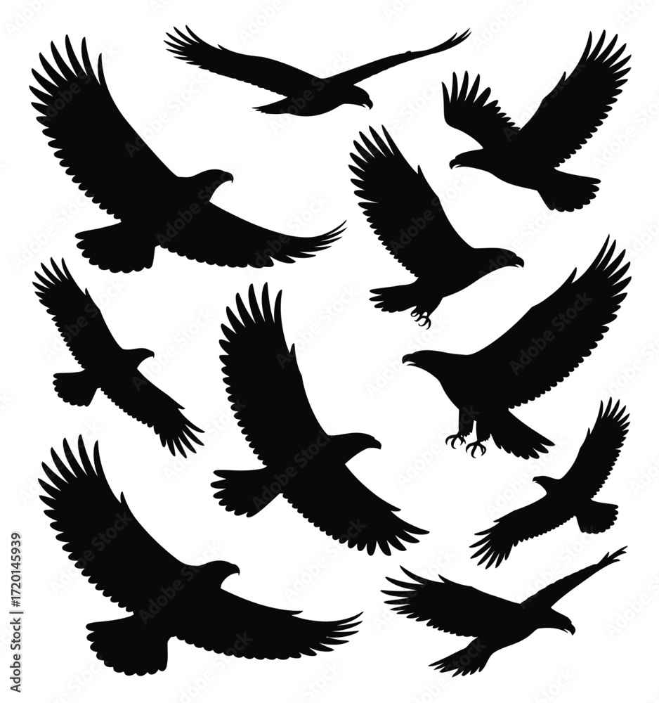 Fototapeta premium Collection of majestic eagle flying silhouettes in various dynamic poses against a white background