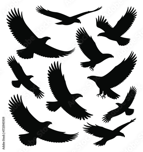 Collection of majestic eagle flying silhouettes in various dynamic poses against a white background