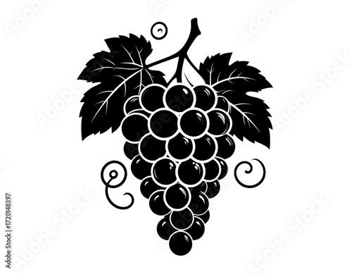 Black and white grape cluster illustration