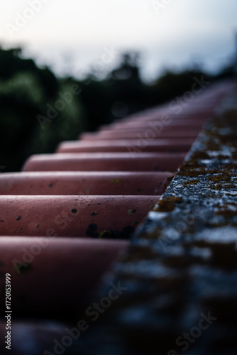 Some of roof where Seaguls usually land