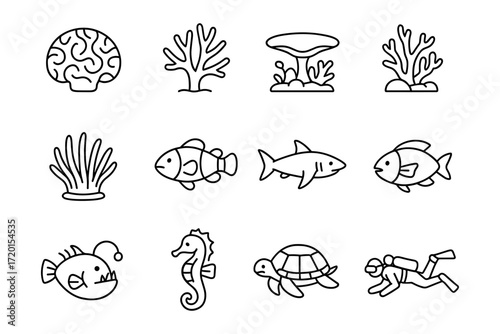 Aquatic life outline collection: marine creatures and plants in simple line style