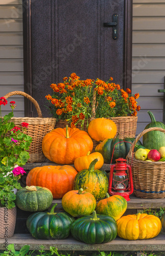 Heap of orange and green pumpkins, bunch of marigold flowers and red lantern near the door. Thanksgiving or halloween greeting card