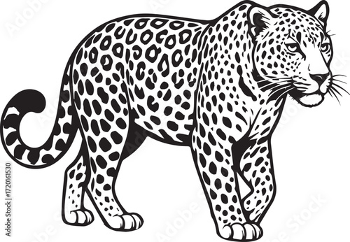 Black and White Leopard Illustration – Hand Drawn Wild Animal Vector Art