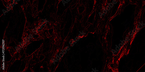 Abstract Red Vein Network on Black Background Organic Flowing Lines Texture vector