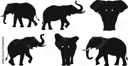 Elephant silhouette set, trunk and tusk variation, frontal and side views, wildlife anatomy, black figure, white background, nature concept