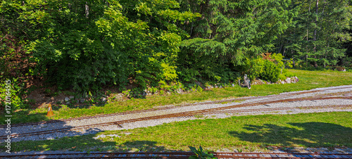 trilhos de trem em parque de Vancouver, Canadá