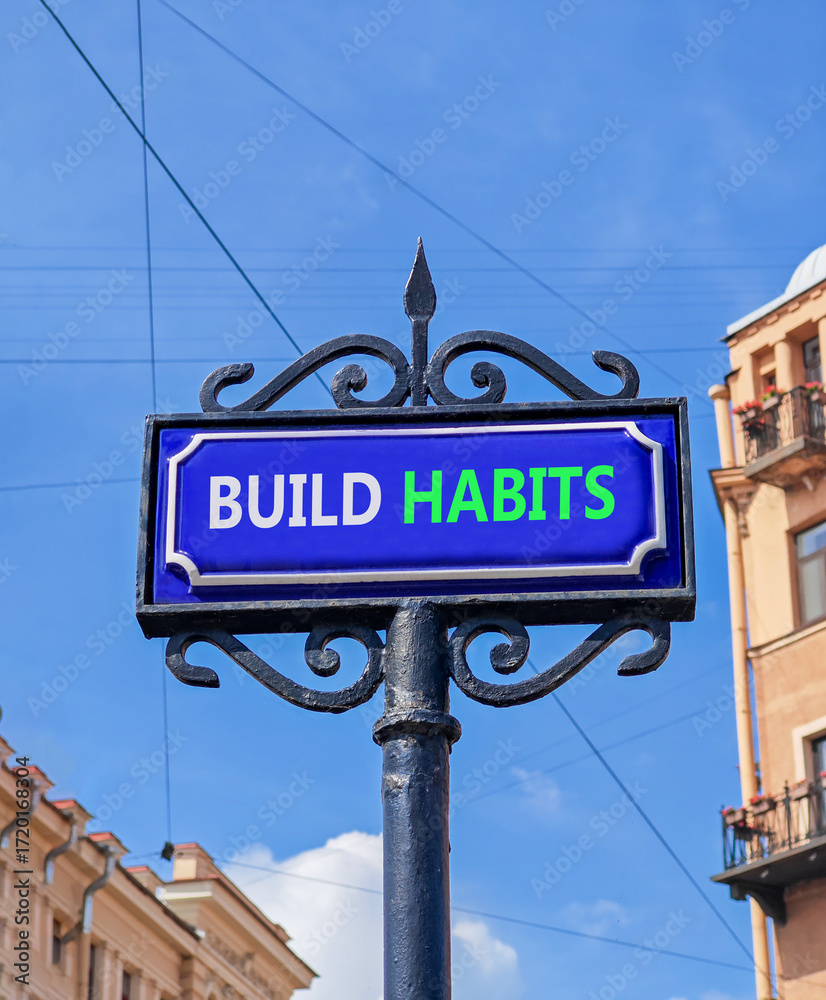 Obraz premium Build habits symbol. Concept word Build habits on beautiful blue road sign. Beautiful blue sky and buildings background. Business build habits concept. Copy space.