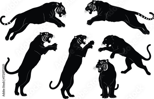Tiger silhouette, dynamic poses, leaping motion, upright strike, crouching pounce, sitting posture, wildlife concept, black figure, white background, animal behavior