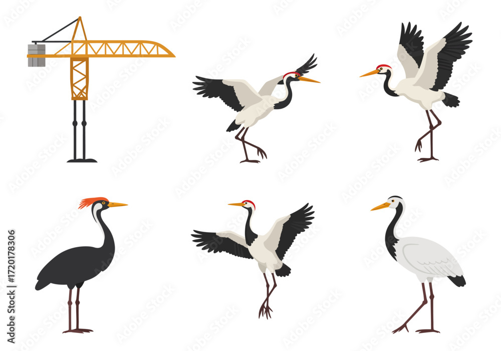 Fototapeta premium Crane and 5 birds some with red heads stand against a white backdrop