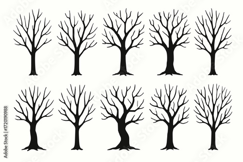 Black Silhouette Illustrations of Leafless Trees with Unique Branching Patterns in Minimal Vector Style