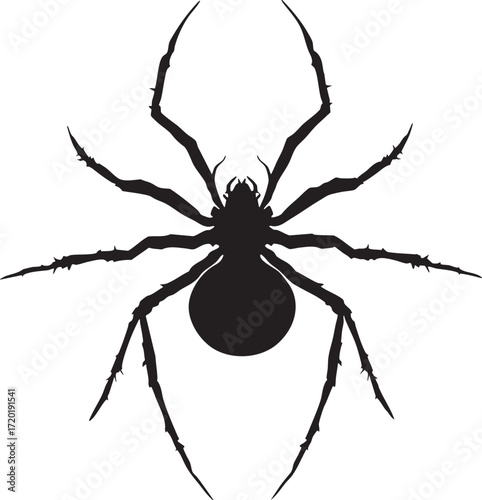 Isolated black silhouette of a spider with long spindly legs on a white background illustration