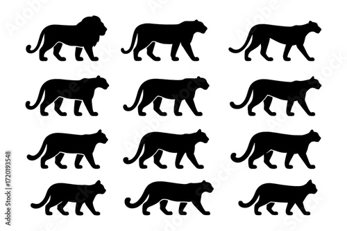 Set of twelve big cat silhouettes: lions, tigers, and panthers in profile view