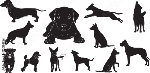 Collection of dog silhouettes in various poses and breeds animal canine