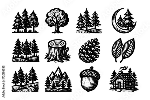 Rustic woodland emblems: hand drawn collection of forest icons