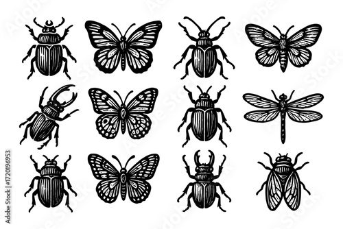 Intricate insect collection: hand-drawn beetles, butterflies, and more
