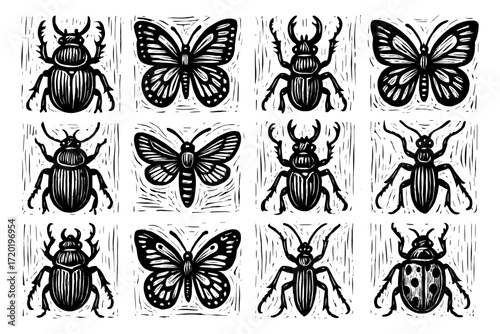 Intricate insect design featuring butterflies and beetles in black and white style
