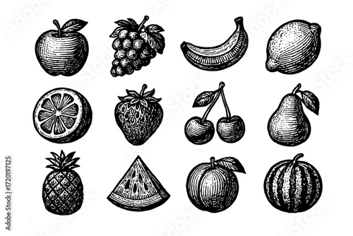 Hand drawn fruit collection featuring vintage style illustrations of popular fruits