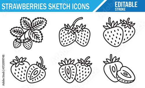 Fresh Strawberries Line Drawings for Healthy Lifestyle and Organic Food