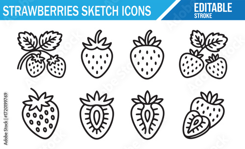 Line Art Icons of Strawberries for Farm, Nature, and Food Graphics
