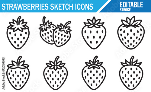 Line Art Sketch Icons of Fresh Strawberries for Food and Agriculture Concepts