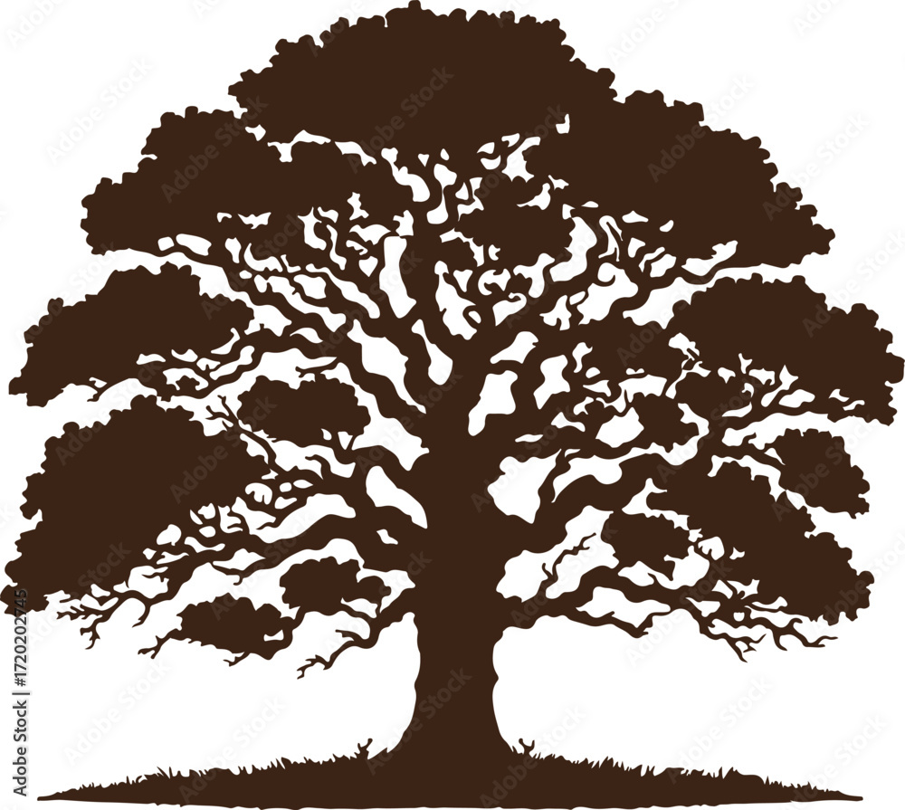 Fototapeta premium tree silhouette vector