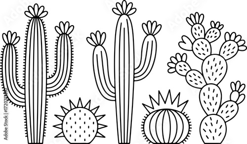 Desert Cactus and Succulent Silhouette Illustration