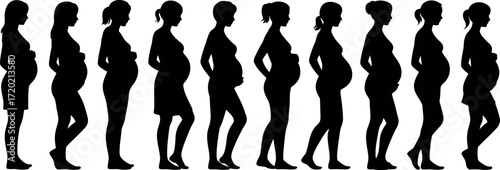 Pregnancy Progress Silhouette Stages and Maternal Health Conceptual Illustration