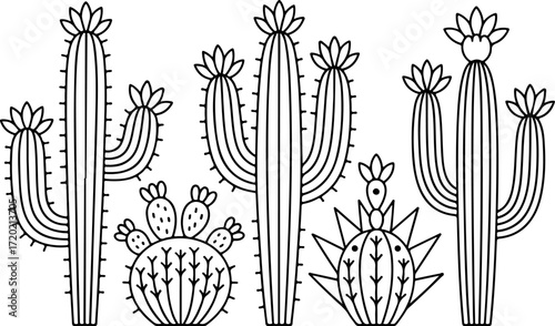 Desert Cactus and Succulent Silhouette Illustration