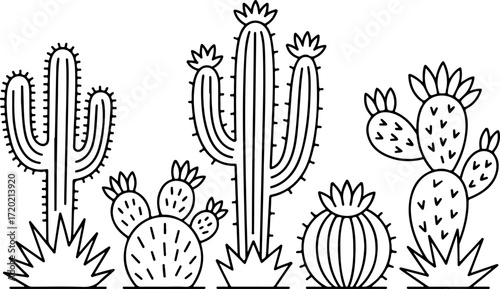 Desert Cactus and Succulent Silhouette Illustration