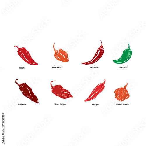 Set of Chili Pepper Varieties Illustration – Fresno, Habanero, Cayenne, Jalapeño, Chipotle, Ghost Pepper, Aleppo, Scotch Bonnet