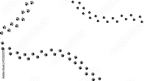Paw vector foot trail print of cat. Dog, puppy silhouette animal diagonal tracks for t-shirts, backgrounds, patterns, websites, showcases design, greeting cards, child prints and etc.