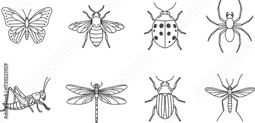 Hand Drawn Insect Vector Set with Butterfly, Bee, Dragonfly, Ladybug, Spider, Beetle, Grasshopper, and Mosquito for Nature and Educational Designs