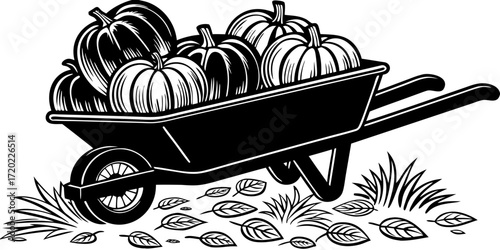 Wheelbarrow loaded with pumpkins on ground covered with leaves  