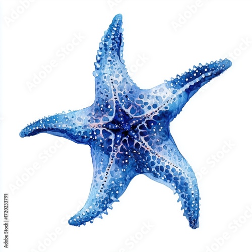 Stunning Watercolor Starfish Illustration , PNG isolated cut out image