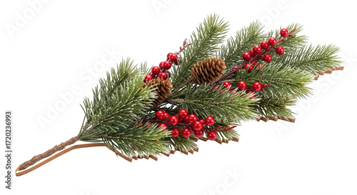 Christmas branch with pine cones isolated on transparent background
