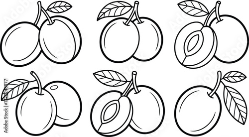 Elegant plum drawing collection in black and white line art style