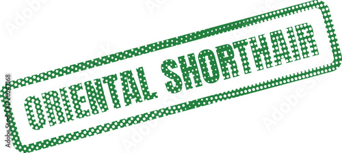 Oriental Shorthair inscription in dotted green frame on a white background is perfectly transparent