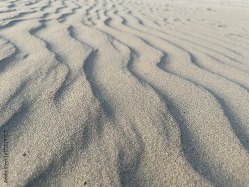 Ripples in the sand