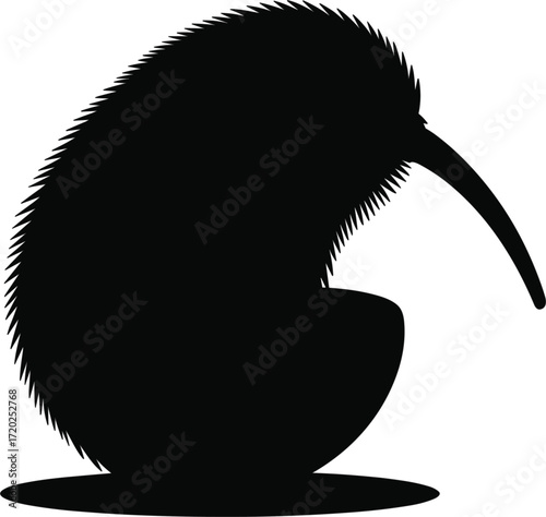Kiwi Bird Silhouette Isolated on Transparent Background