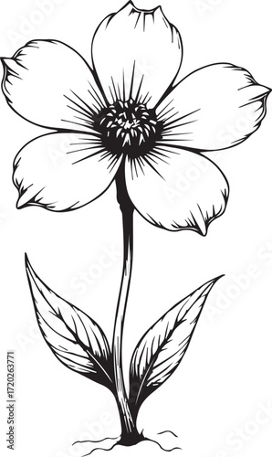 Delicate Floral Sketch: A detailed black and white illustration of a beautiful flower, showcasing its intricate petals, slender stem, and lush leaves.