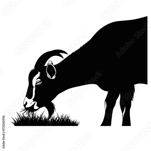 Black goat silhouette grazing on grass isolated on white background silhouette