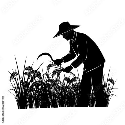 Farmer harvesting rice with sickle silhouette isolated on white background