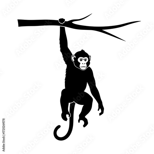 Monkey hanging from tree branch silhouette isolated on white background