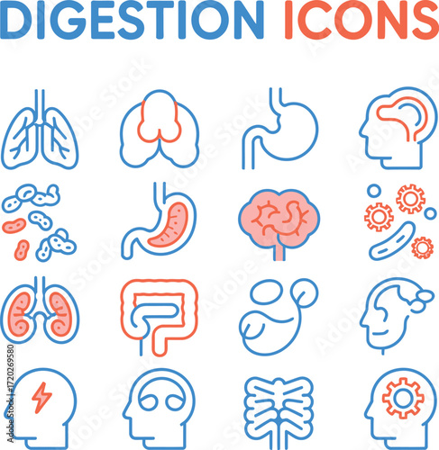 Vector Icons Depicting Human Digestion System Components. A set of line art icons representing various components of the human digestive system.