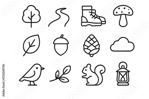Forest Walk Icons. Forest Walk. Line outline icon set of Forest Walk: tree, path, boots, mushroom, leaf, acorn