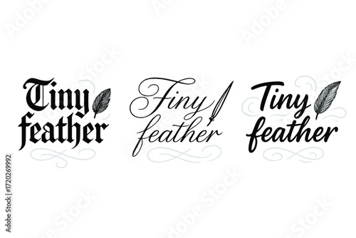 Elegant Calligraphy Feathers. Tiny feather. Create a calligraphy lettering illustration of the phrase: Tiny