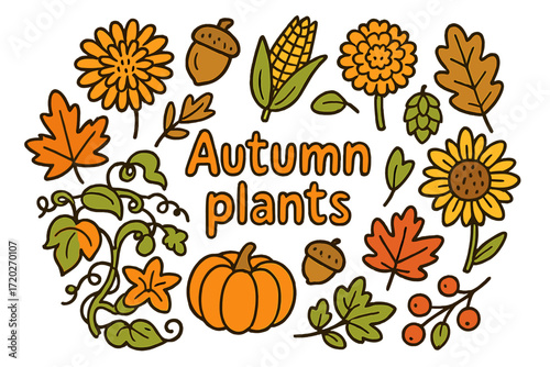 Autumn Plant Doodles. Autumn plants. Hand-drawn doodle illustration of autumn plants. Chrysanthemum, dahlia,